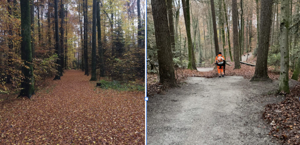 Waldwege mit Laub und geputzt von Arbeitern