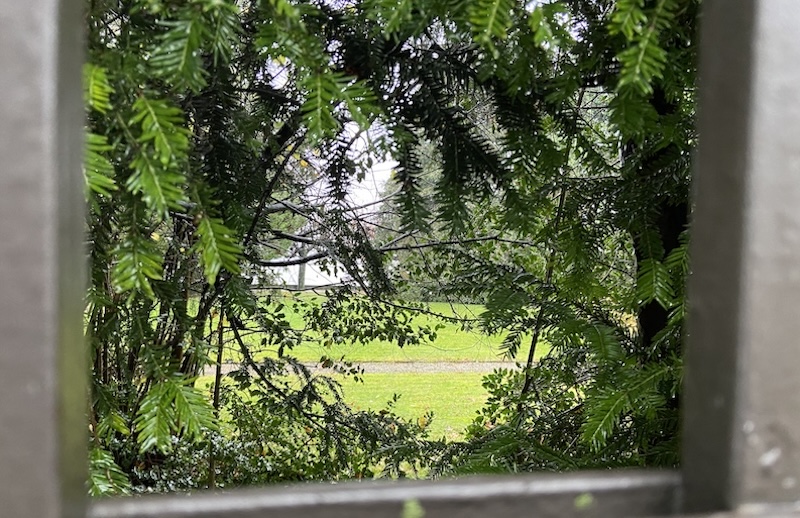 Blick durchs Gitter auf den Park der Parzelle Seestrasse 20 (Foto: rs)