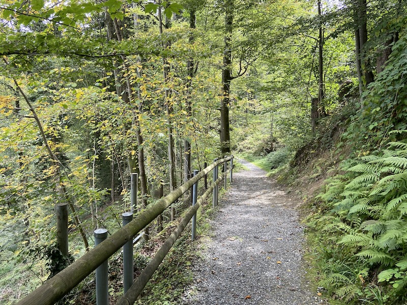 Idyllischer Waldweg kurz nach Wolfhalden