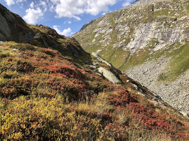 Herbstfreuden