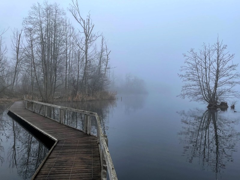 Am Hüttwilersee. Die Stille ist nicht fotografierbar