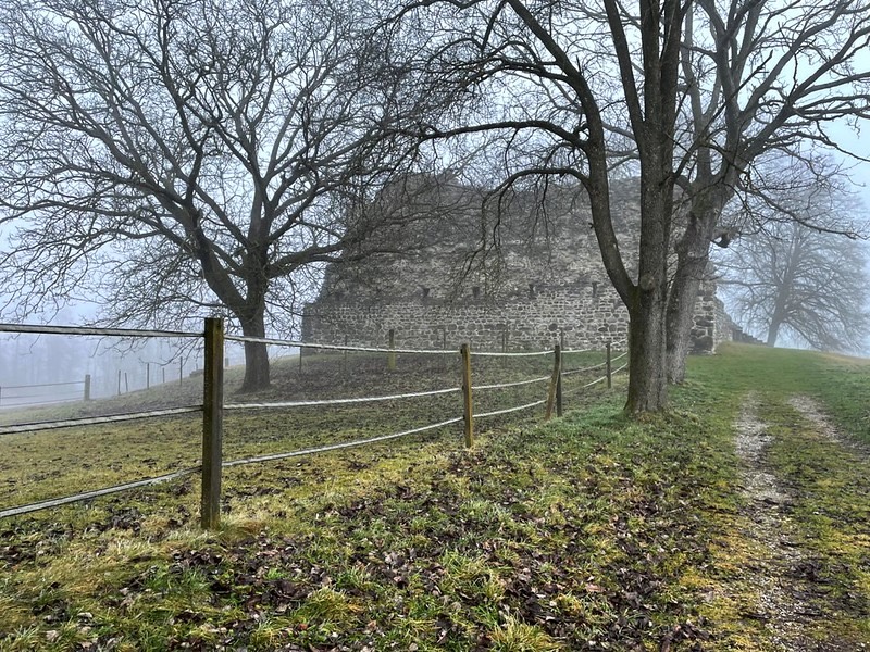 Die Ruine der Burg Helfenberg steht 15 Meter über dem Hüttwilersee