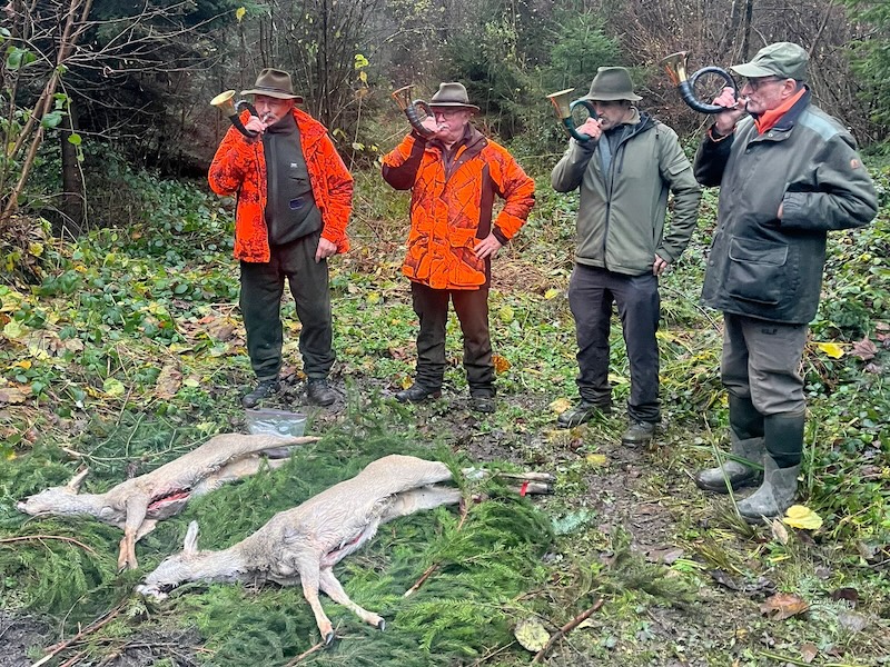 Die beiden erlegten Rehe , «abgeblasen» von den Zolliker Jägern