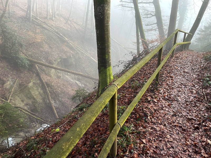 Im feuchtelnden Staanegger Tobel