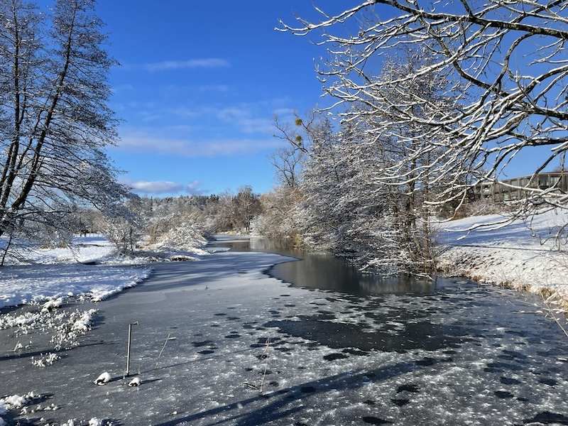 Kleinod Schübelweiher