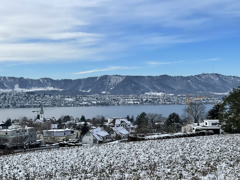 Der Blick von der Allmend auf das kecke Kirchlein von Zollikon