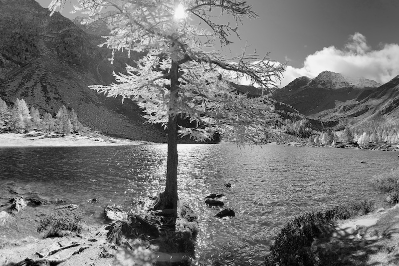 8. Oktober 2024: fotografisch festgehaltener Moment des Glücks von Reto Schlatter