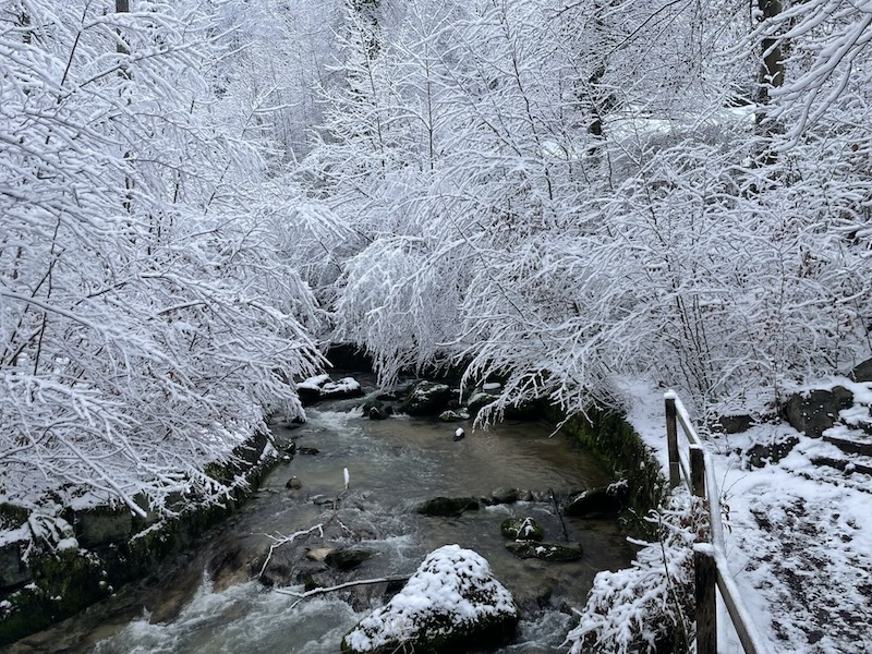 Winterzauber im Wehrenbachtobel